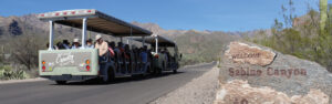 Hiking Sabino Canyon