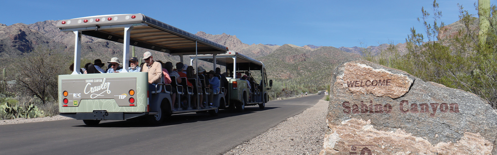 Hiking Sabino Canyon