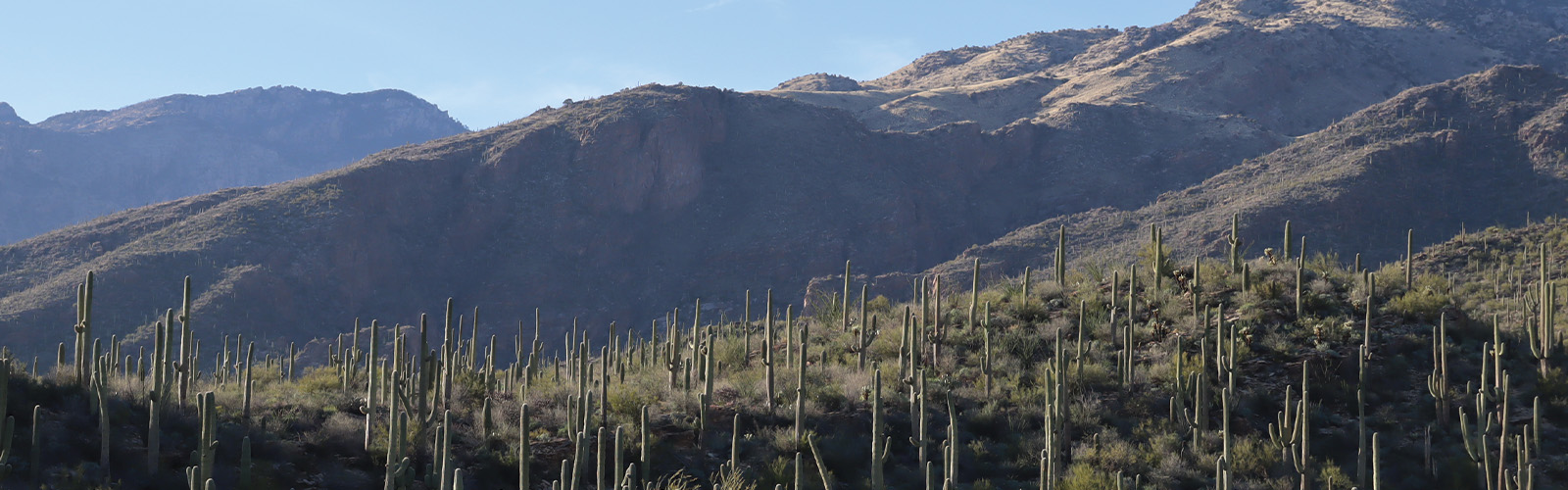 Tucson Hiking Trails