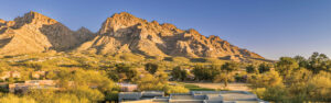 Tucson is a nice place to Live